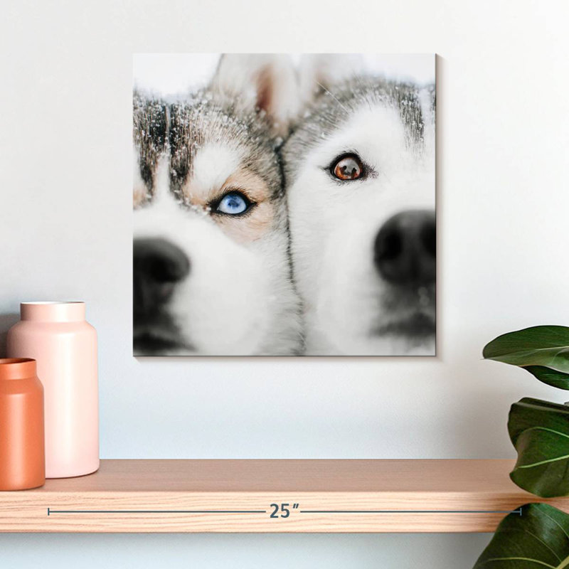Crowle Husky Faces, 16" H x 16" W