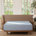 Cornflower Blue
