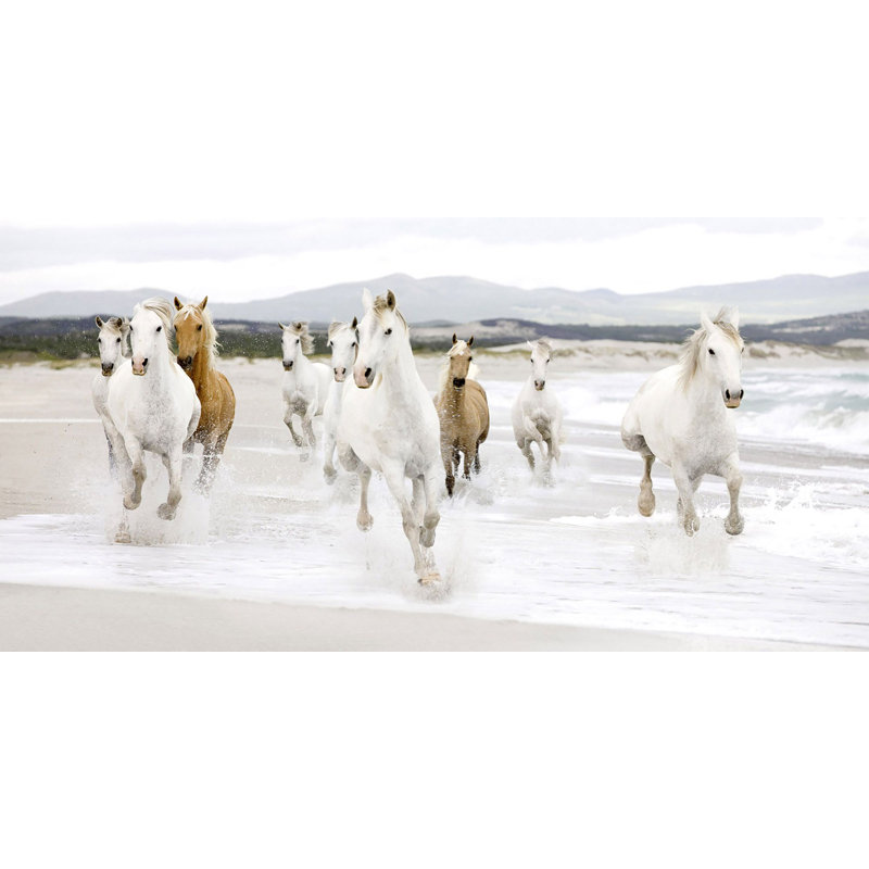 Horses On The Beach - Wrapped Canvas Print, 35cm H x 70cm W