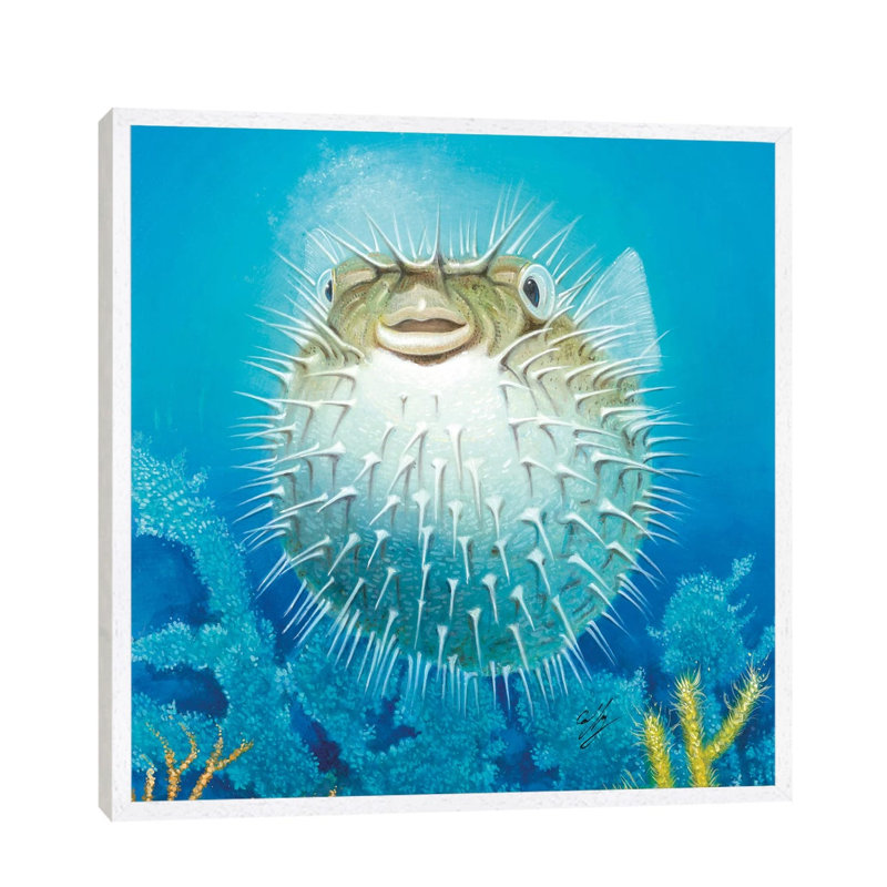 Puffer Fish by Durwood Coffey - Painting on Canvas, White Framed, 66.04 cm H x 66.04 cm W
