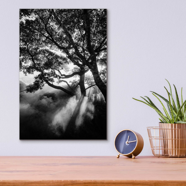 Millwood Pines Misty Black On Plastic / Acrylic by Design Fabrikken ...