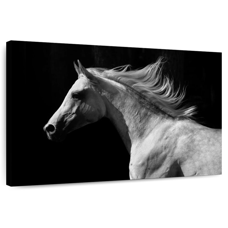 Cheval arabe Brampt, H 16 po x l 24 po