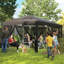 Pop Up Canopy-534160512