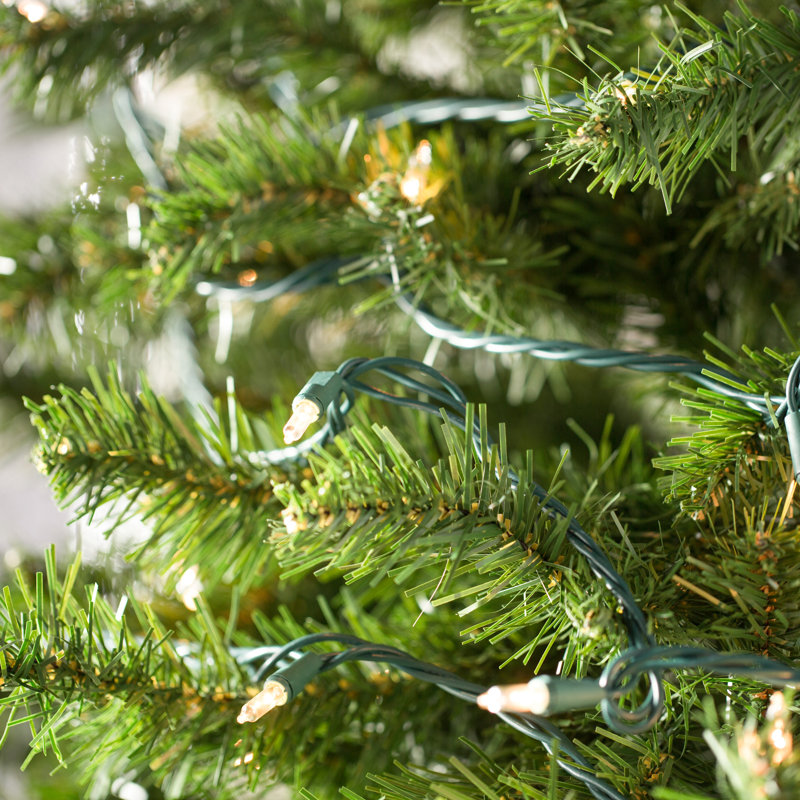 606'' String Lights, Clear