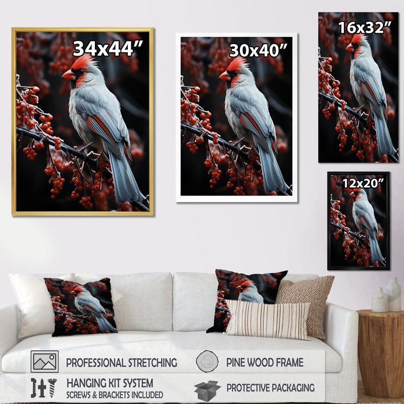 Coral Brid In Winter II, reproduction d'art sur toile, Cadre flottant noir, H 20 po x l 12 po x P 1 po