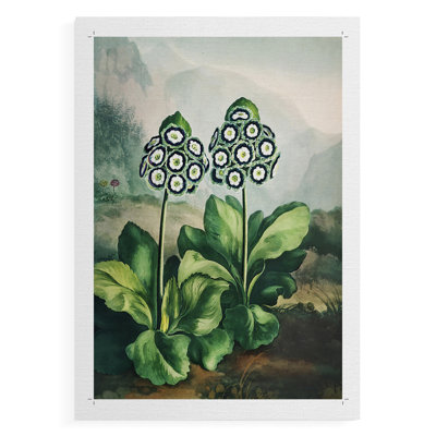 Temple of Flora XI -Canvas Print Only - NOT FRAMED