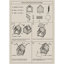 Havre pour animaux avec coussins American Style