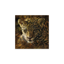 Trinx Curious Jaguar In The Jungle On Plastic / Acrylic by Sarah Manovski  Print
