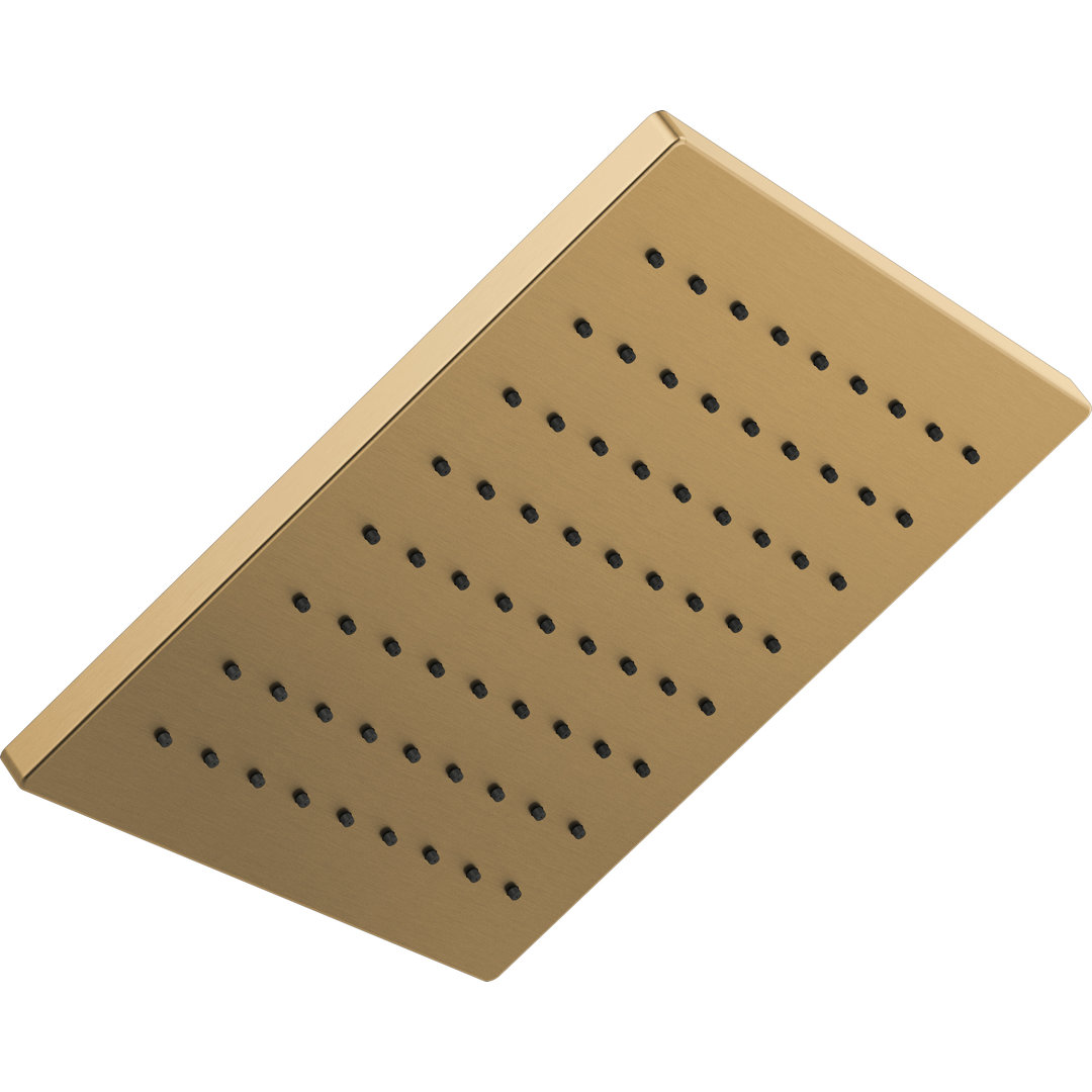 Delta Rain Adjustable Shower Head Delta Finish: Champagne Bronze