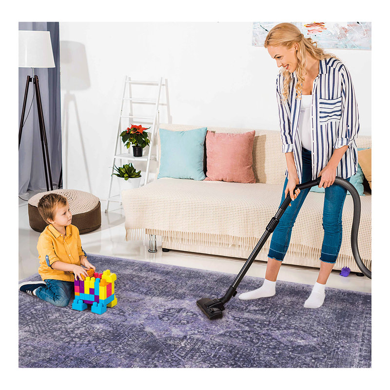 Area Rug, Washable Rug, Low-Pile, Non-Slip, Non-Shedding, Foldable, Kid & Pet Friendly - Area Rugs for living room, bedroom, kitchen (Anthracite)