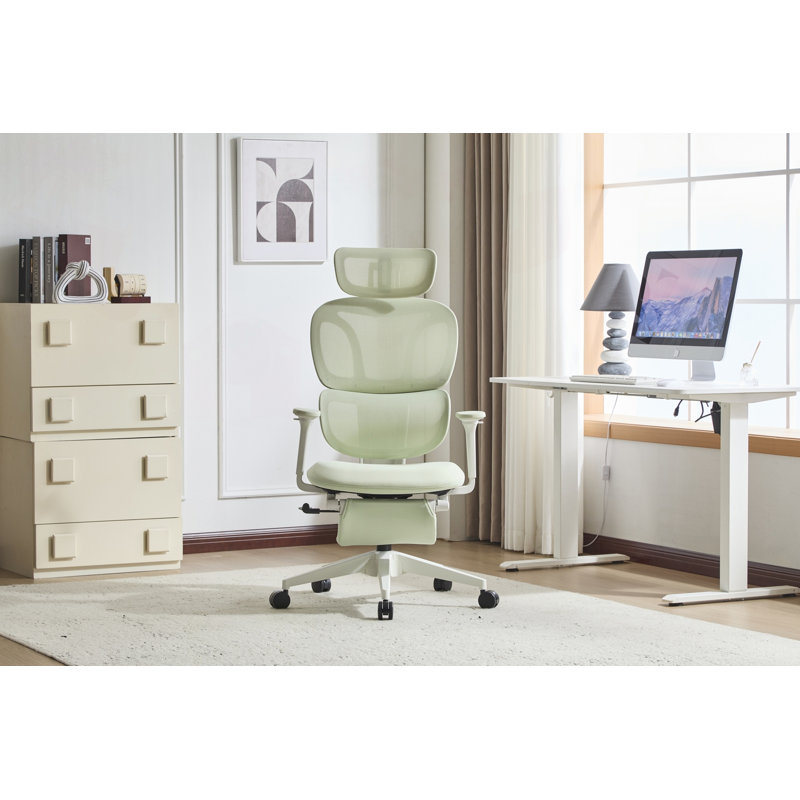 Chaise de bureau ergonomique avec repose-pieds et soutien lombaire dynamique, Green, Green