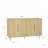 Storage Cabinet with Adjustable Shelves