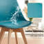 42.5cm Modern style Dining Chair, Padded Plastic Side Chair with Solid Wood Legs-340434034-367112731