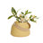 Lido 3.5" Modern Ceramic Sage Green Table Vase with Strap Handle-556803423-556803419