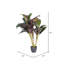 Plante Real Touch Floor Dracaena en pot