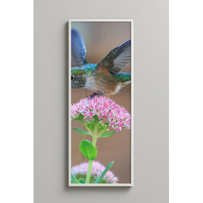 Art mural encadré "Hummingbird at Pink Blossoms"
