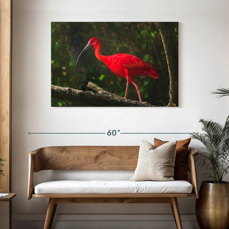 Oiseau rouge Brampt, H 30 po x l 45 po