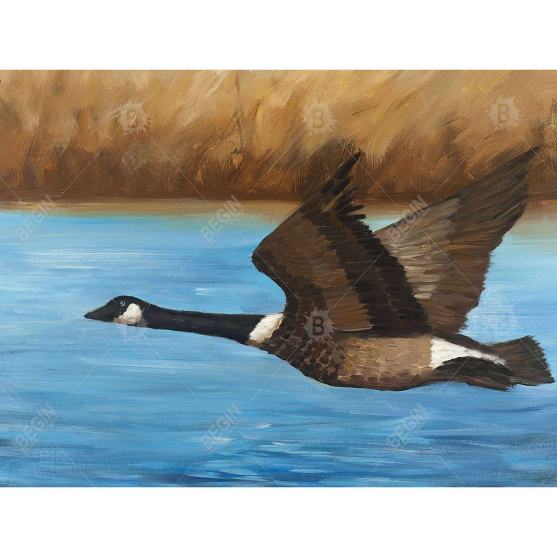 Toile Canada Goose