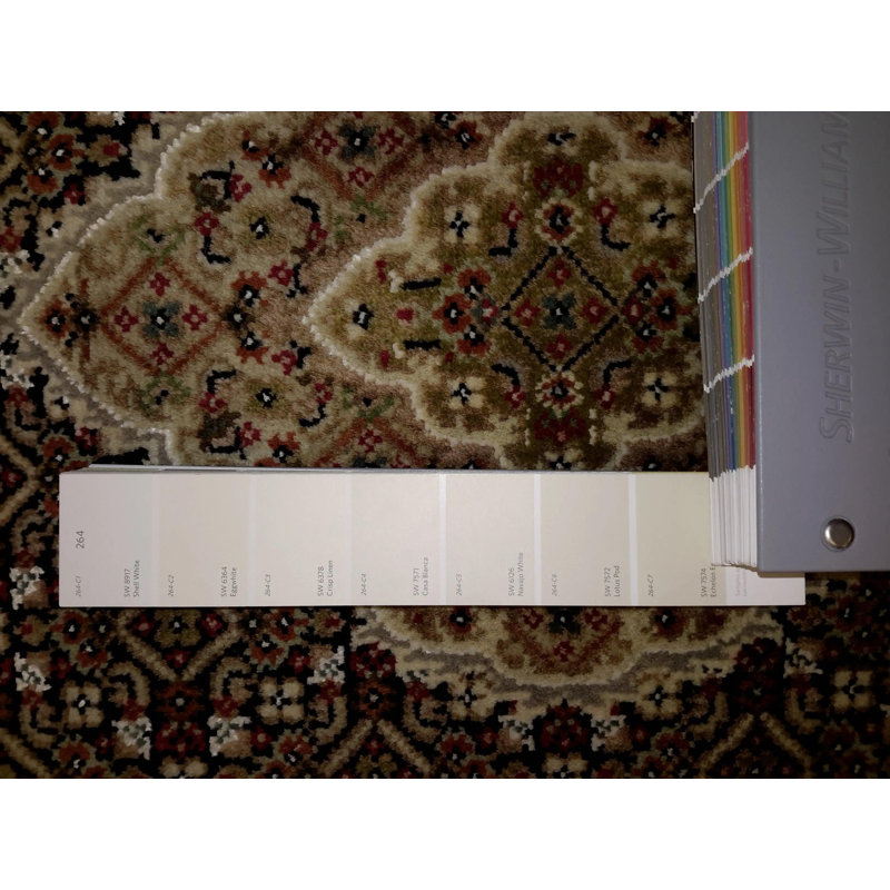 Pilade Oriental Area Rug in Black