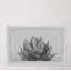 Agave - Single Picture Frame Print-18425704-18425709