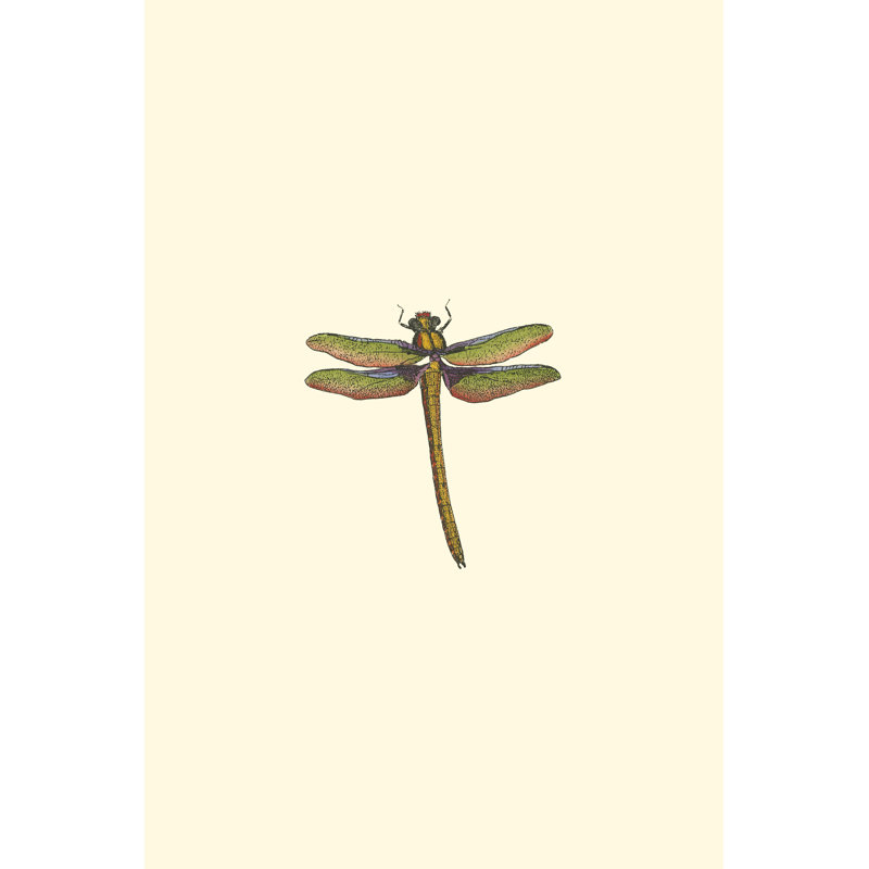 Miniature Dragonfly I (JR) by Vision Studio - Wrapped Canvas Painting, 122cm H x 81cm W