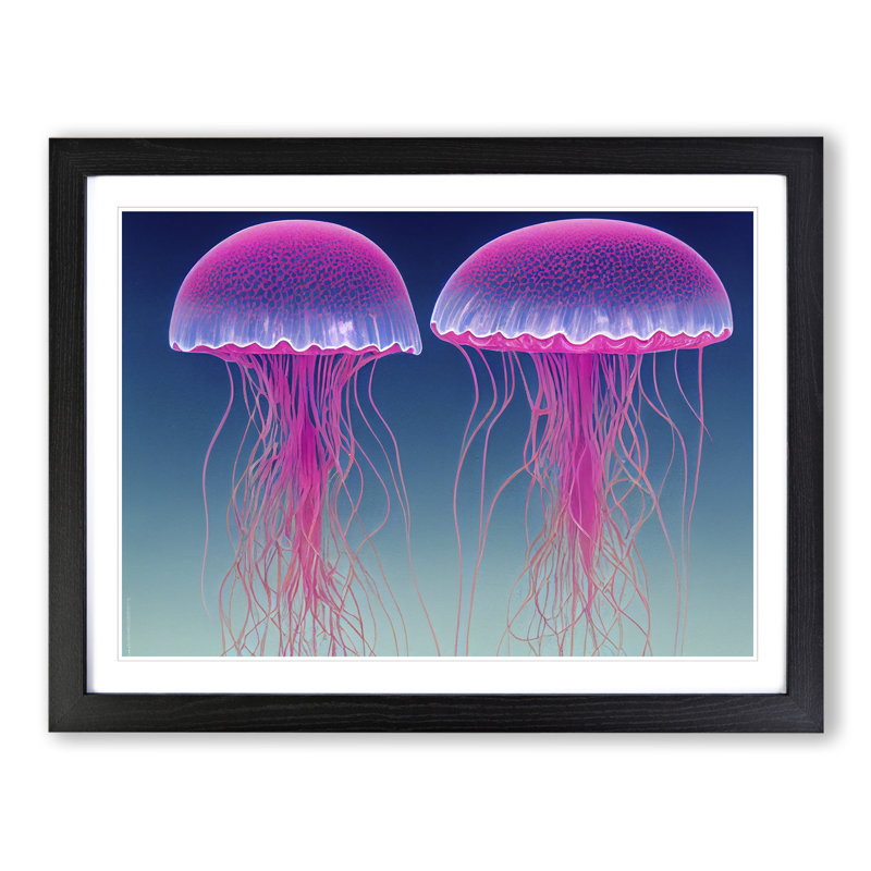 Jellyfish - Single Picture Frame Print, Black, 46cm H x 64cm W x 2cm D