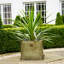 Kew Regency Outdoor Planter-89060113-89060114