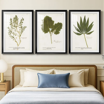 Nature Printed Ferns X  -Custom Framed  Premium Print W Matt - 3 Pieces