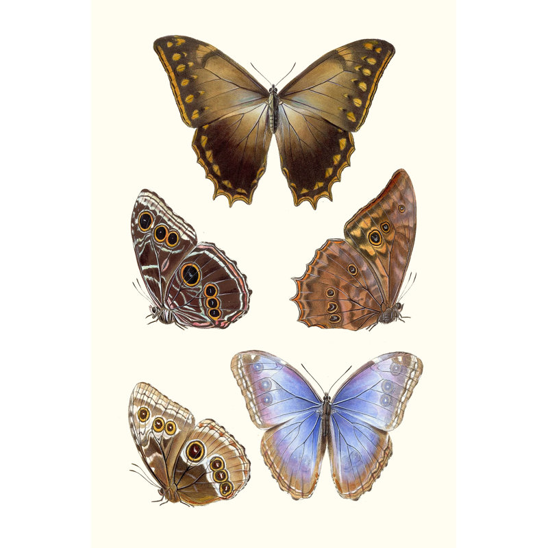Violet Butterflies I - Wrapped Canvas Painting, 122cm H x 81cm W