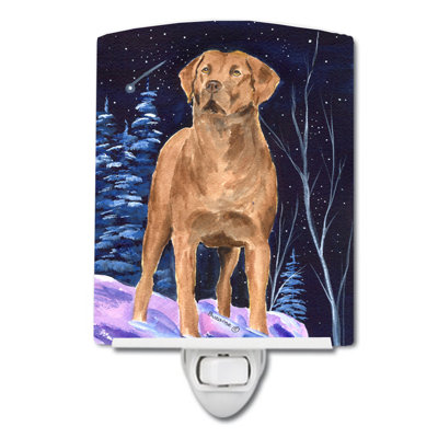 Éclairage pour nuit en céramique starry chesapeake bay retriever