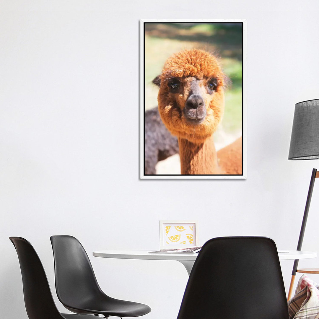 Puffy Brown Alpaca von Susan Vizvary - Gallery-Wrapped Canvas Giclée on Canvas