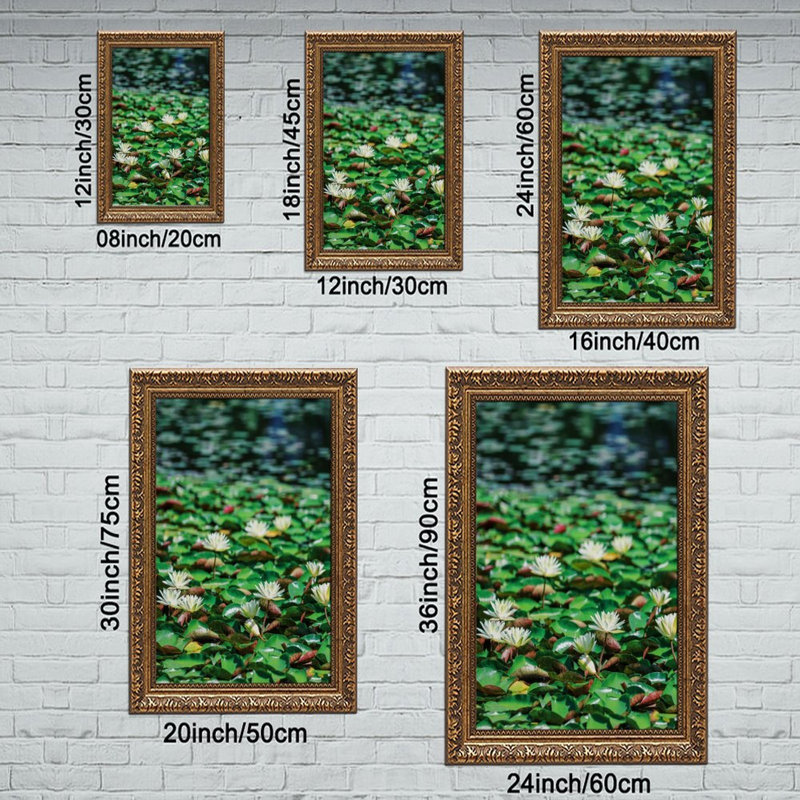 Nénuphars blancs, cadre mural vintage orné – Cadre doré décoratif pour œuvres d'art., L 24 po x l 36 po