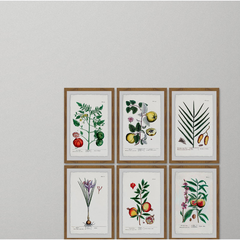 « planteas jali hexaptych », ensemble de 6 reproductions d’impressions encadrées, H 24 po x l 16 po x L 1,5 po