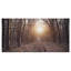 «Forest Pathway View at Sunset», reproduction de photo sur toile tendue-19240527