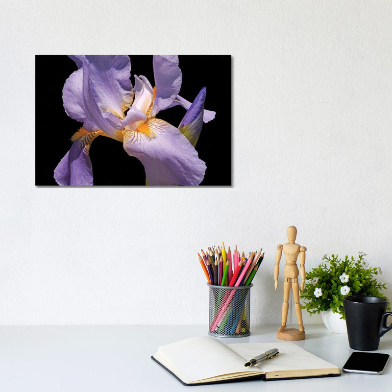 Violet Iris by Brian Wolf - Wrapped Canvas Print, 20.32cm H x 30.48cm W x 1.91cm D