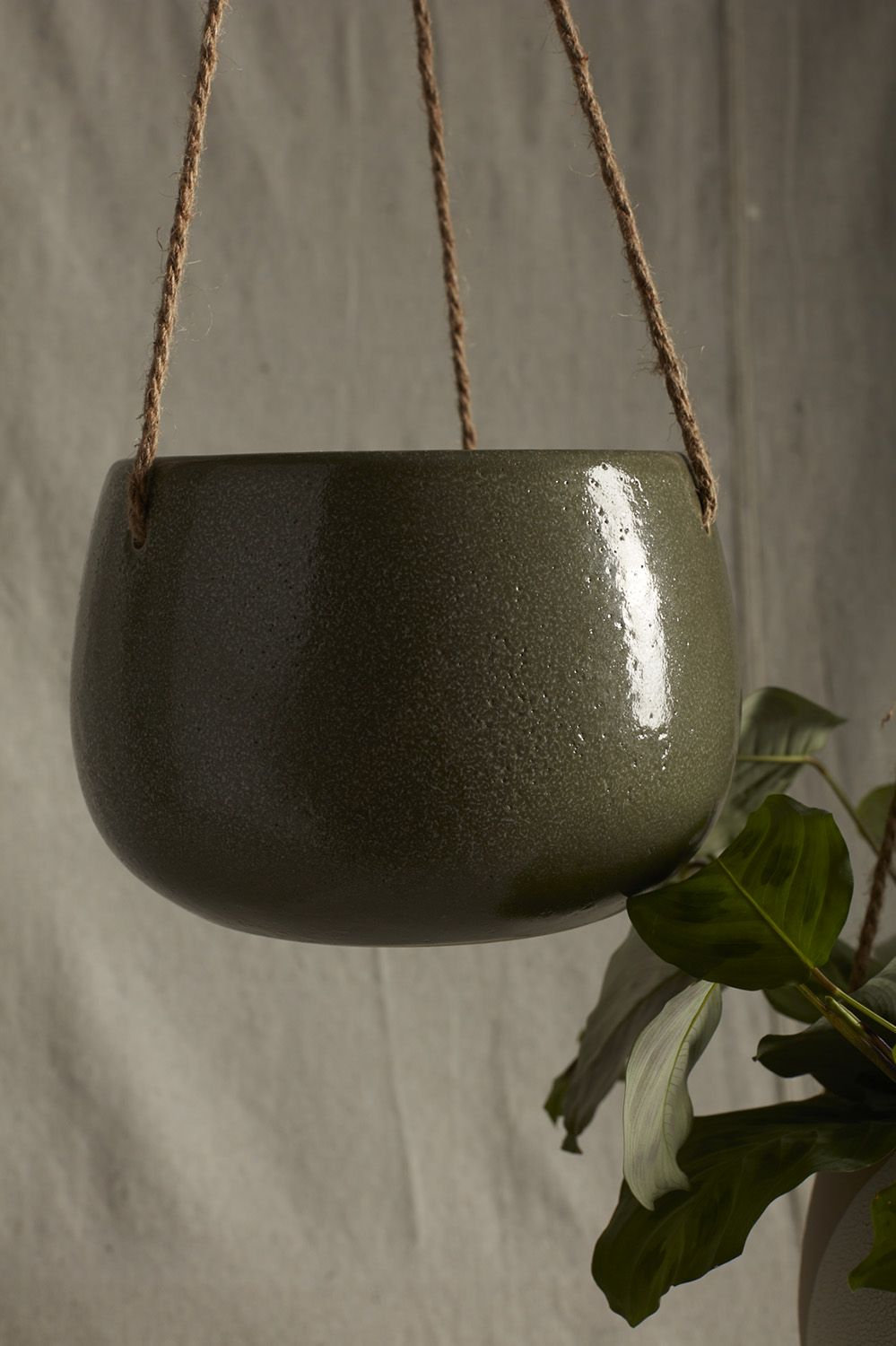Hargrett 8" Ceramic Hanging Planter