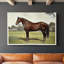 Animals Landscape Series CCVIII-1412867830