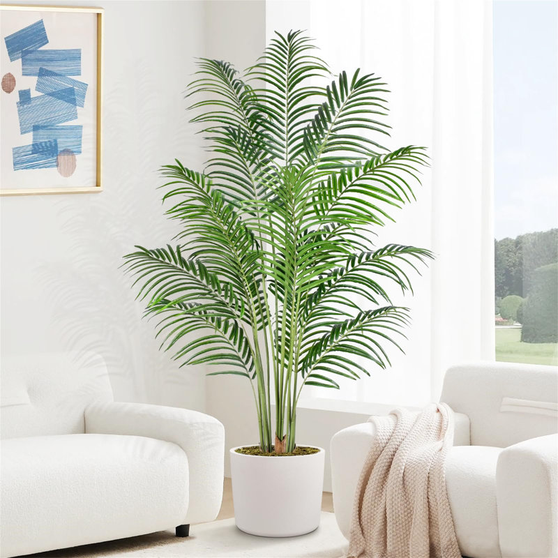 182.88cm Palm Plant