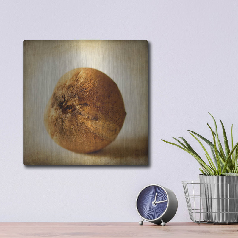 Gracie Oaks «Oak Pods 4» par Jessica Rogers, art mural en métal, H 12 po x l 12 po