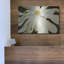 «White Flower» par Dennis Frates-185600226