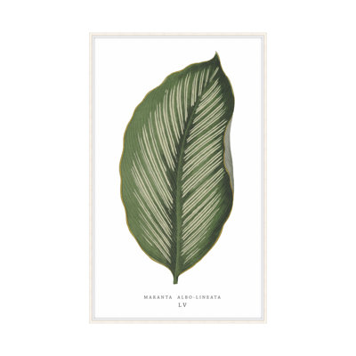 Green Trace 4 Print by Studio L57 Nouvelle