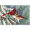 Polyester Kitchen Mat