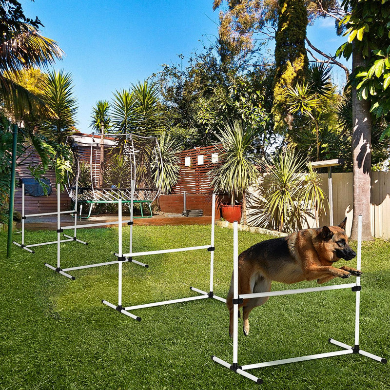 Équipement d'entraînement White Dog Agility - 4 pièces avec barres réglables et trousse de transport pratique pour sac de transport, pour chiens sauvages
