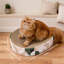 Lit à griffer pour chat multifonctionnel, tapis à griffer en papier durable, un article pratique et utile pour les propriétaires de chats.