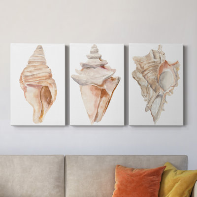 " Seashell II " 3 Piece Art Painting
