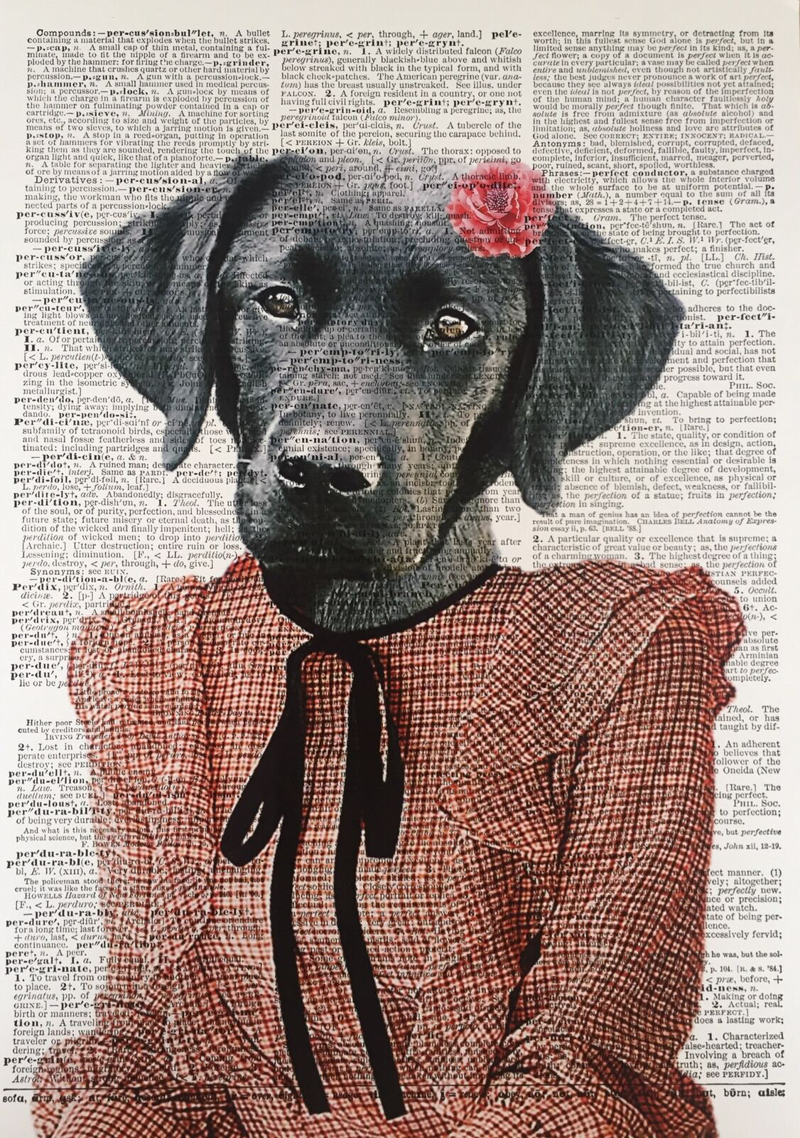 Black labrador 2024 wall art