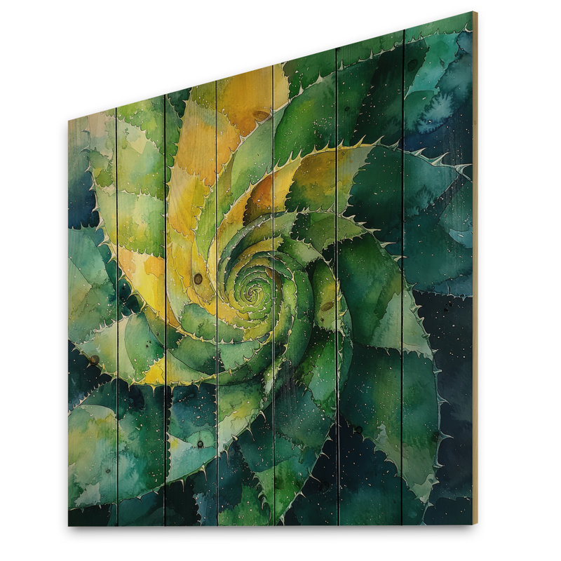 Feuille de l'aloès géométrique en spirale succulente III - plante murale en bois succulente - sur bois de pin naturel