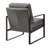 Tosheba Lounge Chair Leatherette With Matte Black Frame-750569334
