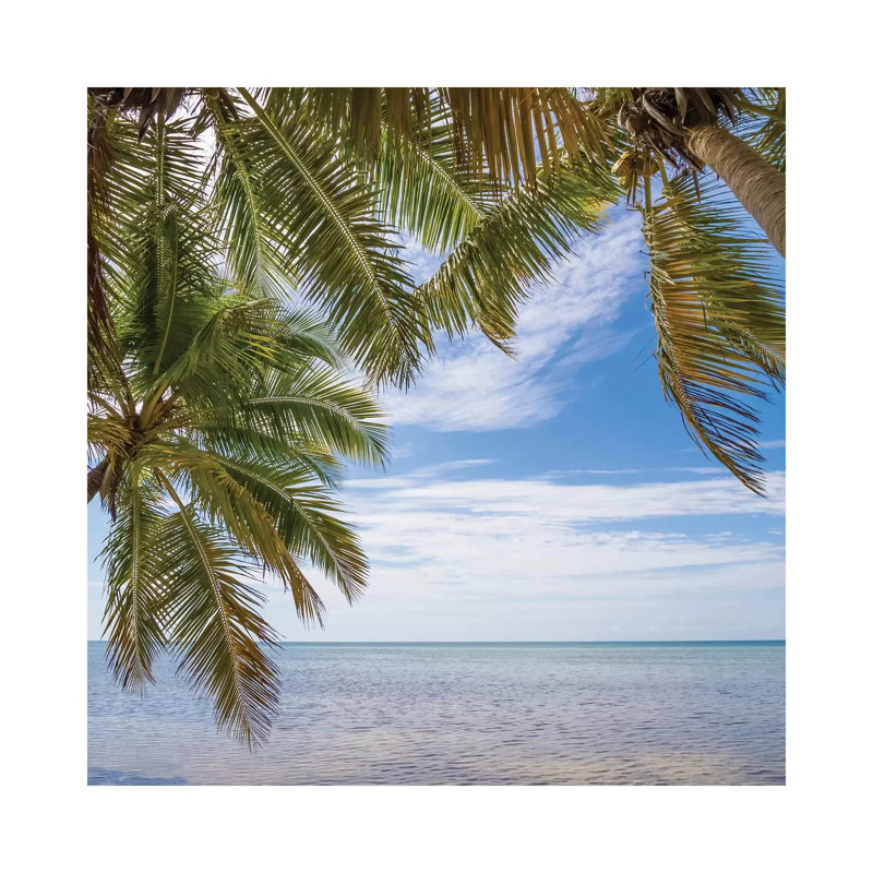 Gorgeous Oceanside by Melanie Viola - Wrapped Canvas Print, 30.48 cm H x 30.48 cm W