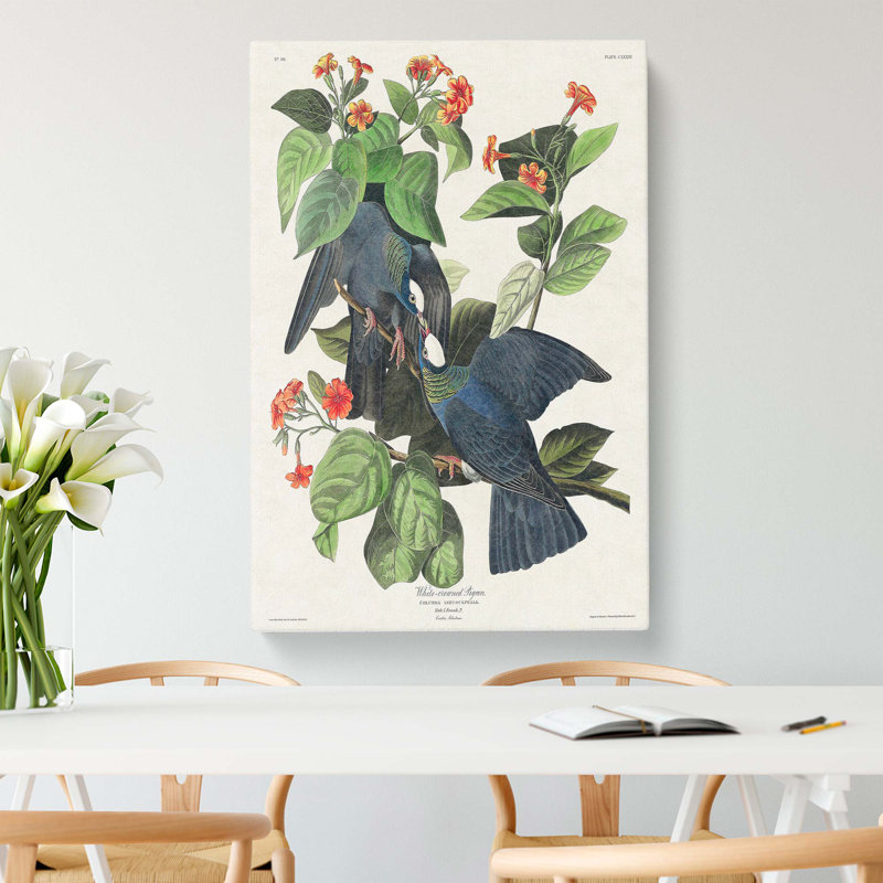 White Crowned Pigeons by John Audubon - Wrapped Canvas, 50cm H x 35cm W x 3cm D